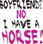 Preview: T-Shirt -I have a horse-